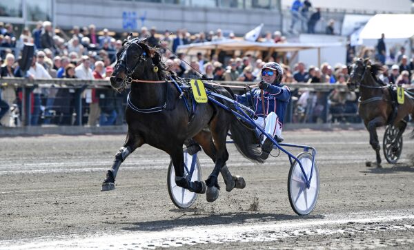 Tips Bergens V75
