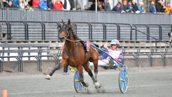 Oslo stenger ned byen