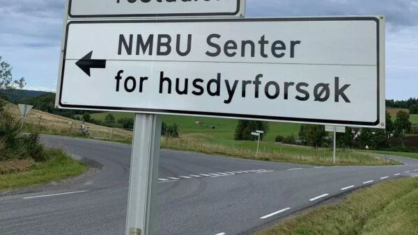 Avvikler viktig forskning på hest