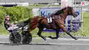 Sto i mot Westergaard og Hamre