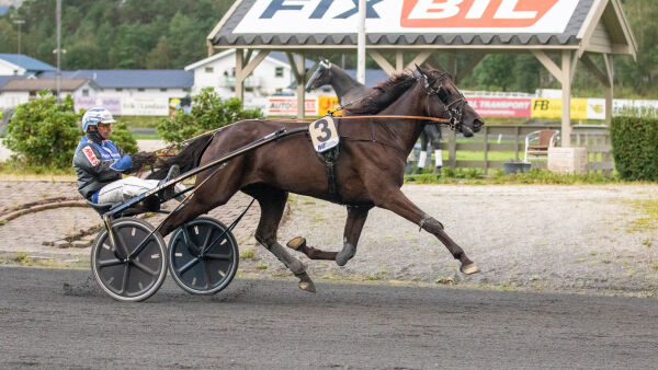 - Han slo opp skaden