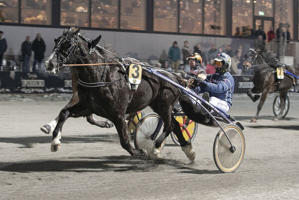 - Herremann med mange egne meninger
