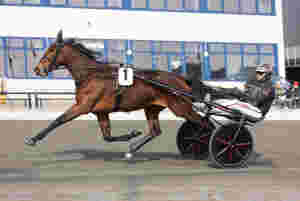 - En begavet traver