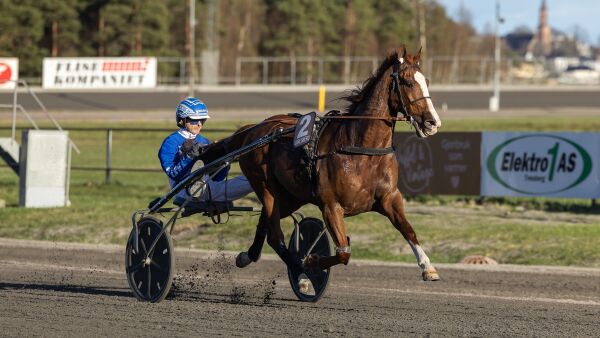 – Det kommer for tidlig