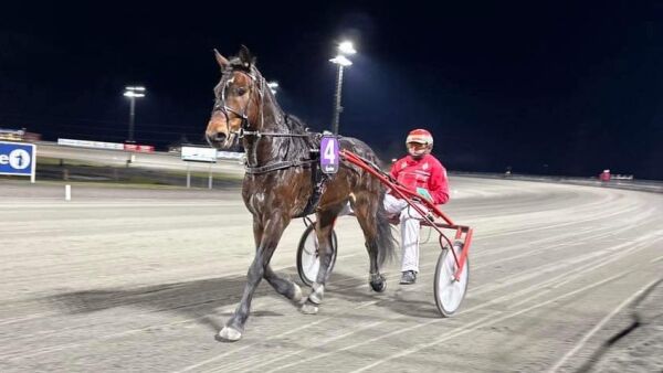 Galopp kostet seieren