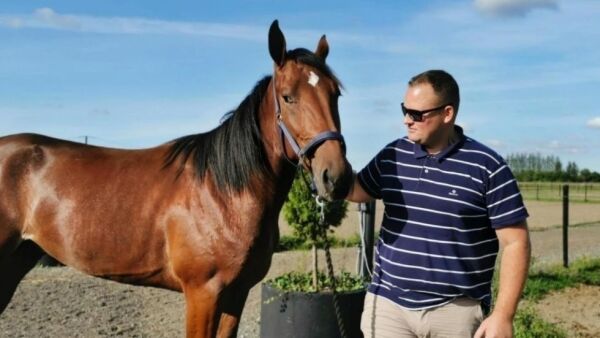 Satset på ny superhingst