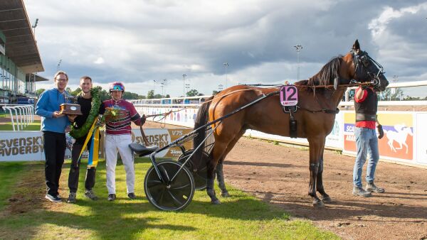 Topphest avlivet etter uhell
