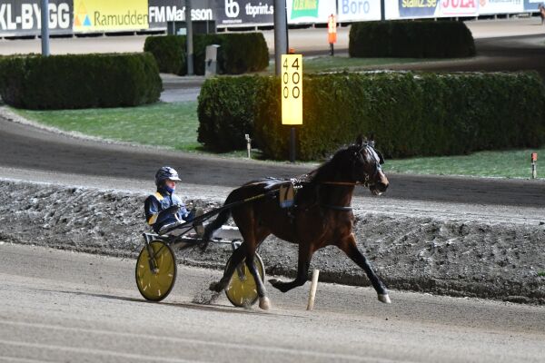Allerede champion, Breeders Crown og bare Click Bait
