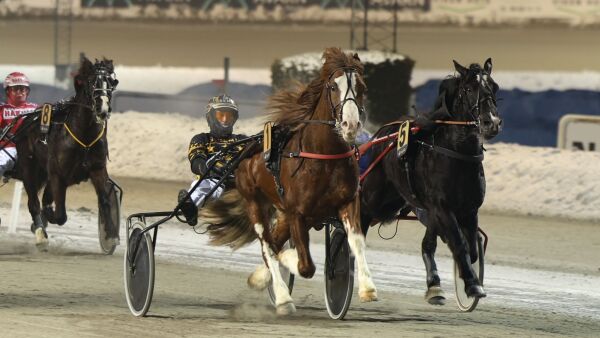 Tips kveldens V75 i Orkdal