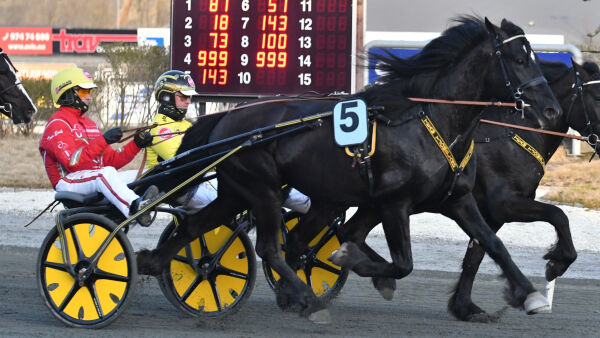 Kriterietoer til Hamre