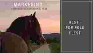 Alt klart for Stortings-aksjon