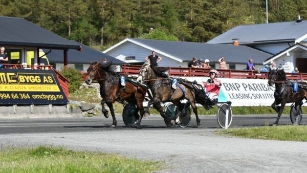 Fra start til mål