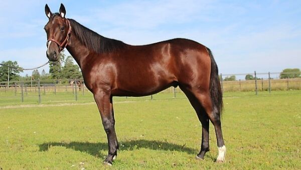 Solgt for 250.000 kroner