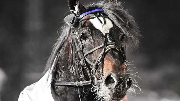 Nordmann vant over 11,1 millioner