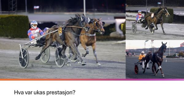 - Hun er ei toppmerr