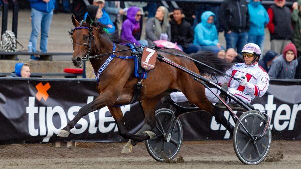 - Han trives hos Per