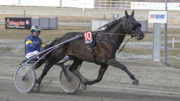 Mot topp lørdag på Bjerke