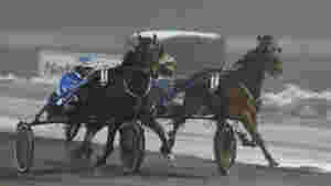 - En hest i flott utvikling