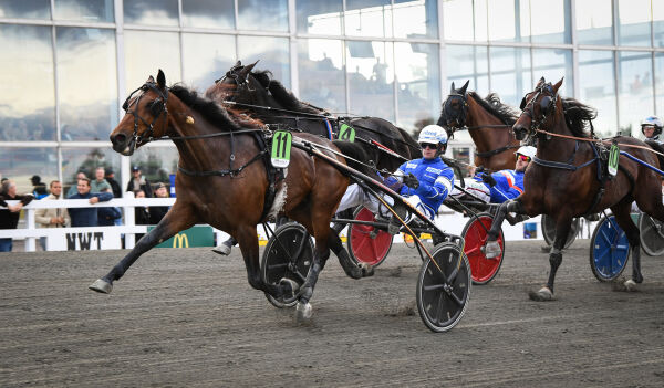 Vant i elitedebuten