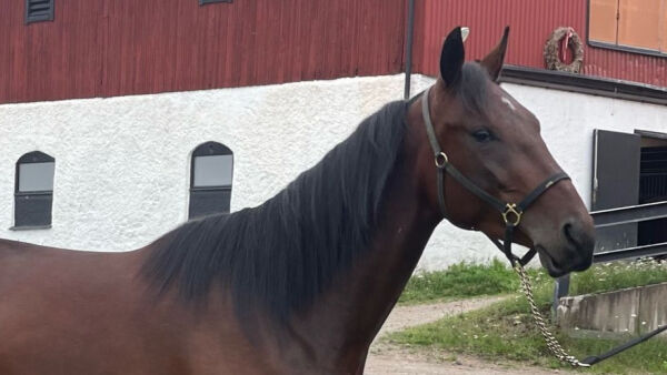 - En prat med  Goop gjorde at det ble slik