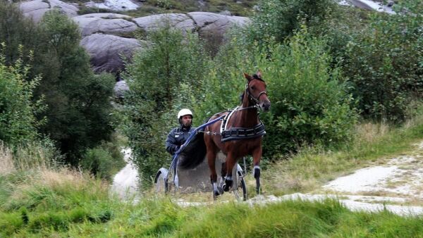- Pulsen begynner å bli sånn passe