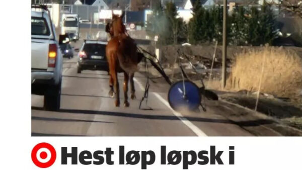- Jeg er kraftig forslått