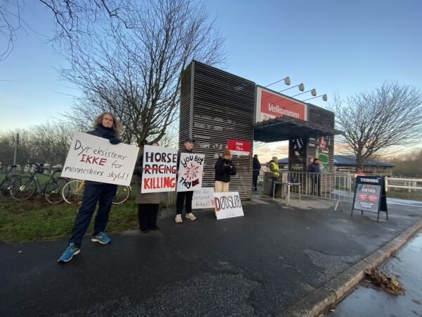Vil ha stopp på trav i Danmark