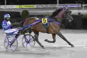 - Var nok en liten tabbe
