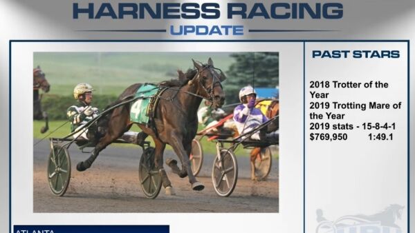 - Prix d'Amerique kan være et mål