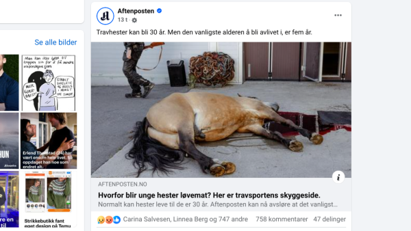 Ingen pris for trav-død-saken
