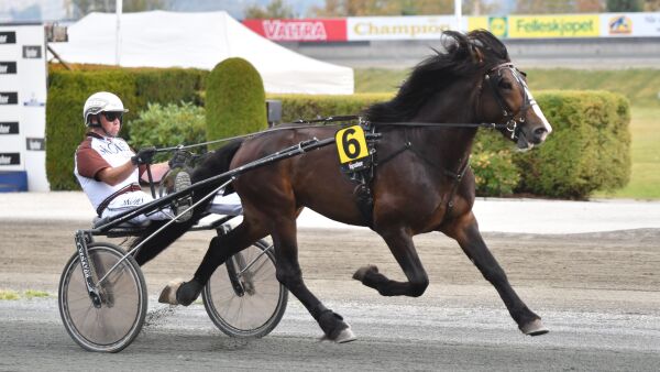 Trøstevinner til Borg
