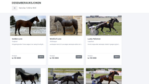 Årets største auksjon