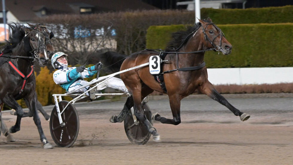 Keep Asking debuterer med seier i sin svenske debut.
 Foto: TR Bild