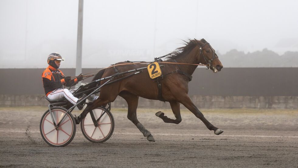 Stella Ammik og Eirik Høitomt i prøveløpet.
 Foto: hesteguiden.com