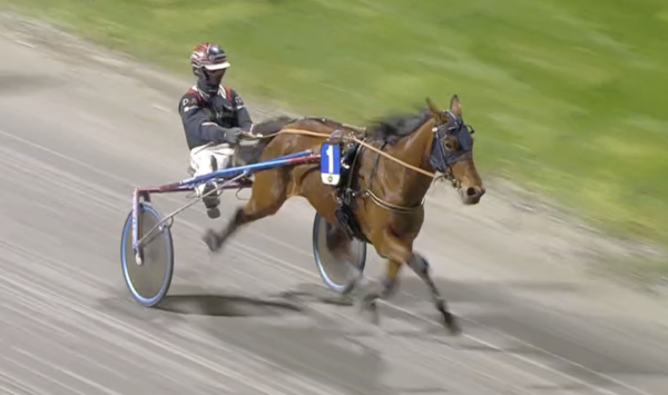 Holdt oppvisning i debuten