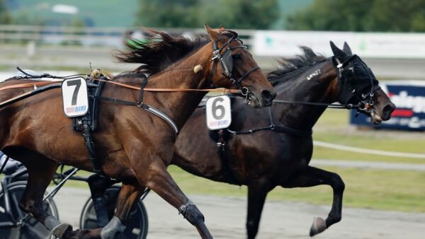 Fire drivingsbøter i samme løp