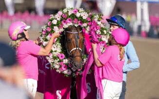Elitloppsvinneren står foran mulig karriereslutt