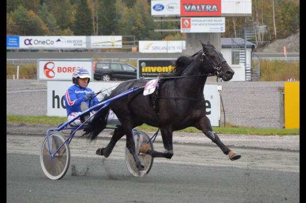 - Setter dette veldig høyt
