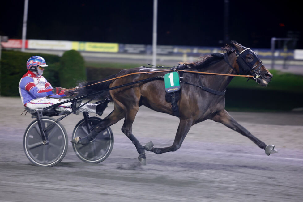 Maharasha forsøker seg i den svenske hoppedivisjonen fra et nitrist spor 15 lørdag. Vinneren får 150.000 kroner.
 Foto: Hesteguiden.com