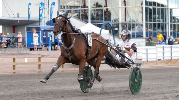 1.09,6-hoppe settes i avl