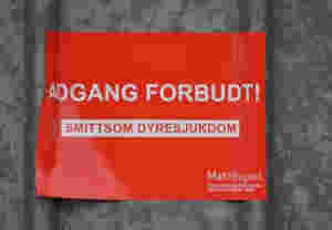 Har konstatert kverke