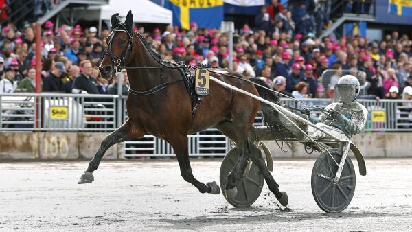 Helbroren i qualifier