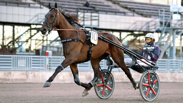 Frikjent, vinnerhest solgt og finne i trening