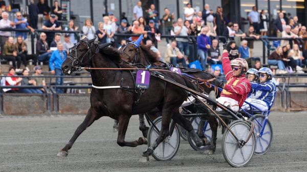Millionhoppa er blitt svensk