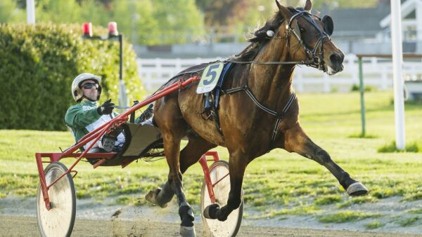 Varsler full sjekk