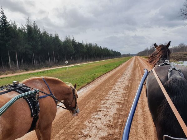 Tester ny balanse