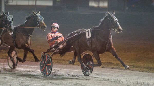 Vinnerhest avlivet, delte ut 14,3 mill. og juks