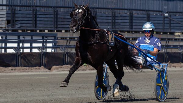 Ingbest bytter trener