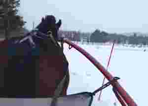 Storm ingen hindring