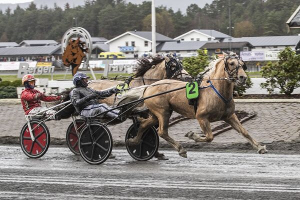 Søndre Jerkeld for god for fireåringen